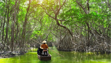 Pictured: Mangroves, which could provide an investment opportunity for those seeking biodiversity and carbon sequestration